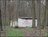 541.jpg