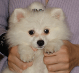 DSC00535c.jpg
