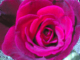 18062006.jpg