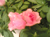 17062006_014_.jpg