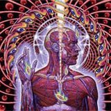 tool_lateralus.jpg