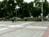 13.gif