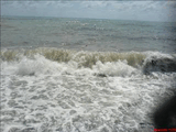 DSC00013.jpg