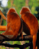 screen109.gif