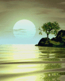 screen29.gif
