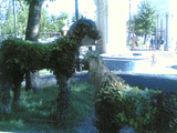 04082006_002_.jpg
