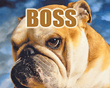 Boss.jpg