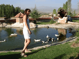 DSC01101c.jpg