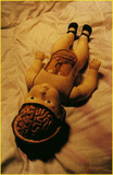 anatomyII.jpg