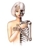 skeletongirl.jpg
