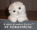 Бедняшка.gif