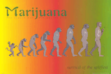 opr003HL.jpg