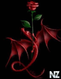 Rose..jpeg