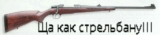 cz_550_308_001.fx.jpg