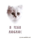i_love_cat.gif