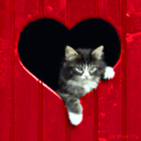 11.gif