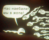 Сперматозои!
