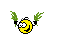 FLY2.gif