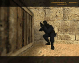 CS_5_.jpg