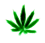 Travka2.gif