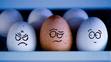 eggs_psp.jpg