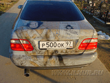 dsc00005.jpg
