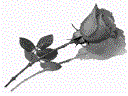 Роза.gif