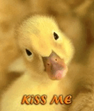 KissMe.jpg