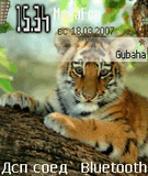 Tiger2.sis