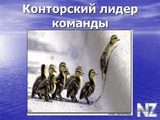 _News_Photo_image_large_31890.jpeg