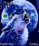 wolf_and_moon_.zip