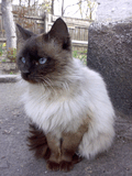 15042007275.jpg