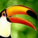 animal0011.jpg