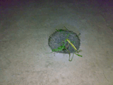 10052007380_.jpg