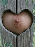 FLYP_588.jpg