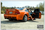 Saleen_Wallpaper_05_by_scarcrow28.jpg