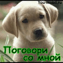 Img00BE.jpg