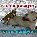 Dgidai.jpg