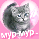 Кэт2.gif