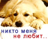 Никто не любит.gif