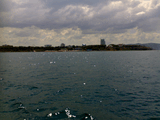 22062007153.jpg