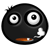 1111488950.gif