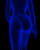 pa1.gif