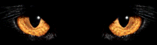 ANIMAL94.gif