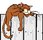 CAT15.gif