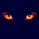 1w.gif