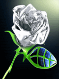 rose_3616.gif
