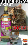 whisky.jpg