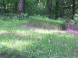 Tolstoy_tomb.jpg