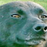 Screenshot0064.jpg